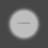 circulastion_foto_12